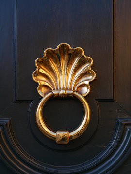 Polished brass door knocker on a dark wood door