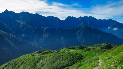 槍ヶ岳　花　風景　青空　景色　北アルプス　裏銀座