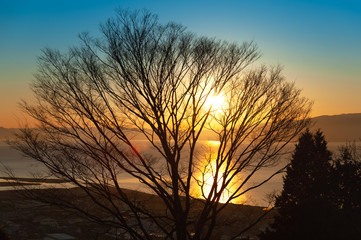 Fototapeta premium Beautiful landscape of dry tree branches with sunlight and flare in Fuji city, Japan. Background with blue sky, sea and mountain. Horizontal shot.