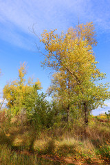 Fototapeta premium Autumn landscape