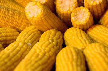 Grilled corn. Grilled pineapple. B-B-Q.