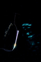 Oarfish Deep Sea Underwater Creature from Outer Space during Blackwater diving at Izu, Japan