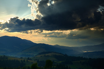 Sunset in carpathian mountains - beautiful summer landscape, spruces on hills, dark cloudy sky and bright sun light, meadow and wildflowers