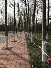 Sidewalk at Quiet Park	