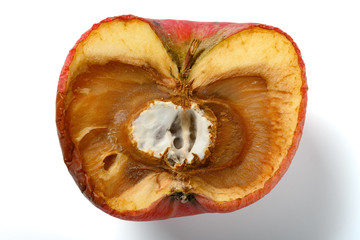 badly shrinked apple with moldy core on white background