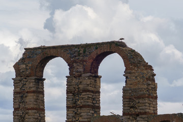 Fototapeta na wymiar Bird nest in the famous roman aqueduct of the Miracles, Los Milagros, in Merida, province of Badajoz, Extremadura, Spain.The Archaeological Ensemble of Merida is declared a UNESCO World Heritage Site