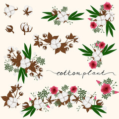 Collection of decorative elements with a cotton plant. Vector graphics.