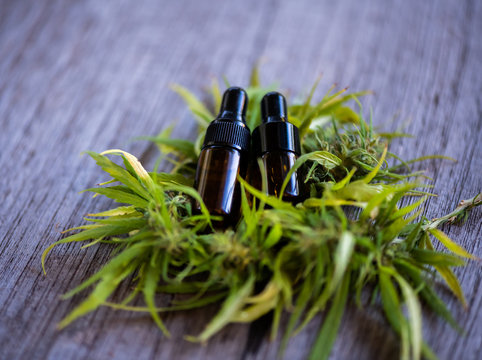 Cannabis CBD oil hemp products cannabis oil, CBD oil cannabis extract, Medical cannabis concept.