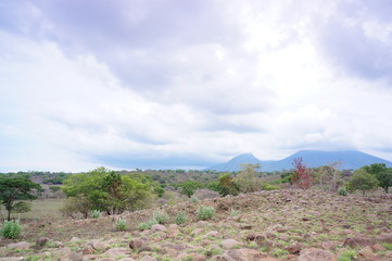 Plateau with a few trees under the foot of the mountain and was once a wilderness