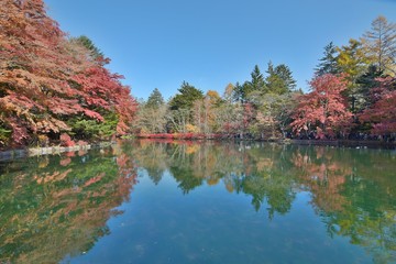 Autumn Landscape at Japanese Garden in Karuizawa, Japan