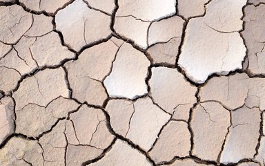 Cracked earth, cracked soil. texture