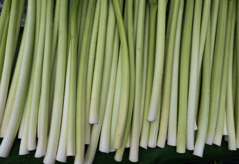 leek on market