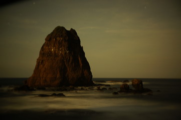 sunset or sunrise on the beach with coral objects