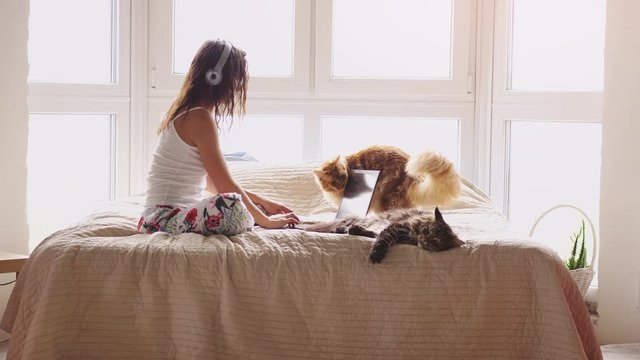 Young beautiful brunette woman sitting on bed by the window working with laptop. Maine coon cat sitting near. 3840x2160