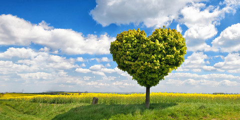 Baum in Herzform