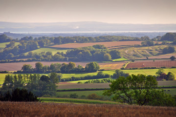 Fototapeta premium South Downs in Hampshire from Beacon Hill, England, United Kingdom