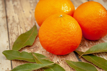 Three ripe tangerines on a wooden background next to green leaves close-up.