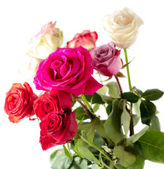 Beautiful rose bouquet isolated on a white