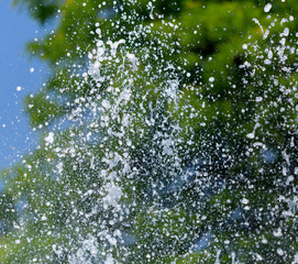 Fototapeta premium Water splashing from a fountain on summer nature