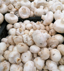 Champignon mushrooms in the store as a background