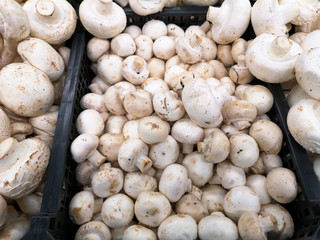 Champignon mushrooms in the store as a background