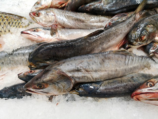 Frozen trout fish in the store as background