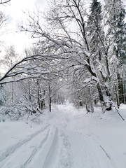 Snowy road in winter forest, Bieszczady, Poland