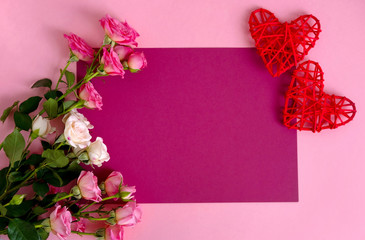 Valentine's Day background. Roses on pastel pink background.