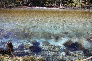 Kamikochi, Chubu-Sangaku National Park, Japan
