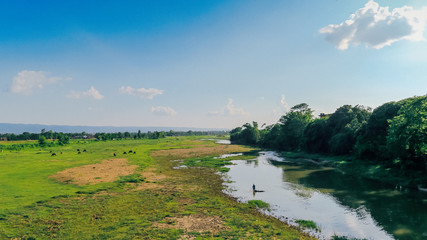 A Landscape in Chitwan NAtional Park