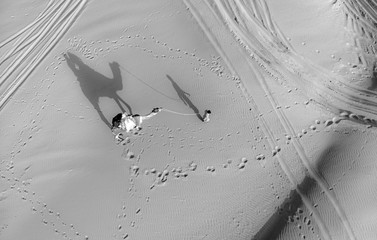 Aerial view of a camel and a person in the middle of desert
