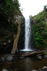 Naklejka premium Rayap Waterfall is a beautiful place to visit with water coming from mountain sources