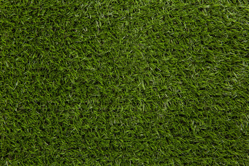 Obraz premium Artificial grass texture high quality closeup