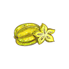 Carambola isolated whole and cut fruit sketch. Vector starfruit star shape slice, exotic tropical food