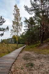 Fototapeta premium View of wooden path.