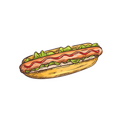 Hot dog with sausage, lettuce and ketchup isolated fastfood snack. Hotdog sketch of bun and frankfurter