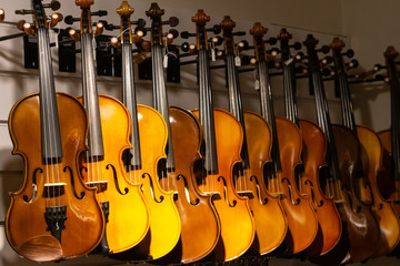 Violins on display