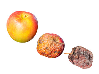 Fresh, wilted and dried apples on a white background. Symbols - young, mature and old. - 312759329