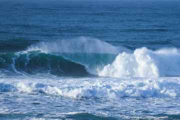 Big wave in the ocean