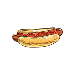 Hotdog sketch isolated bun and sausage with ketchup. Vector fastfood hot dog with frankfurter