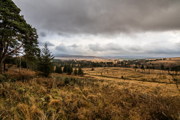Fall in the Wicklow Mountains National Park in Ireland