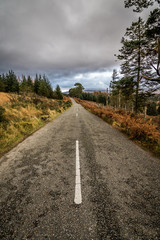 Fall in the Wicklow Mountains National Park in Ireland