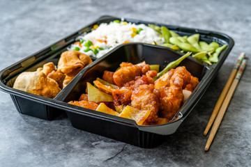 Take Away Japanese Food Bento Box Menu Set with Chicken, Fried Dumplings, Edamame and Rice with Vegetables in Plastic Box Package / Container.