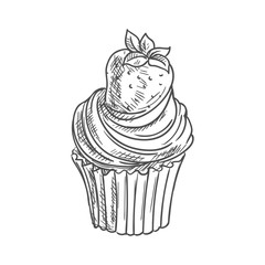 Cupcake, muffin with strawberry fruit isolated sketch. Vector cake topped by summer berry
