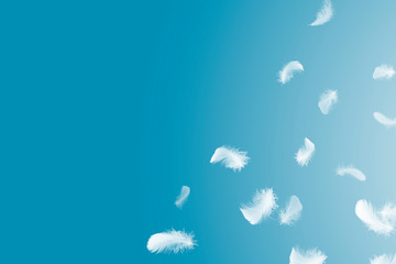Fototapeta na wymiar Soft white feathers floating in the air with copy space