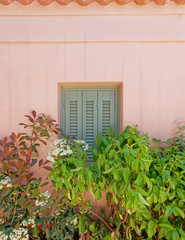 grey window shutters on light pink wall and green plants foliage
