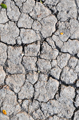 Cracked earth texture.