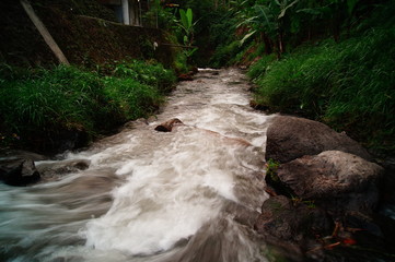 rivers with a fairly heavy flow and water sources from the mountains have a clear flow of clean water	