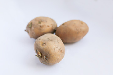 fresh potatoes on white background