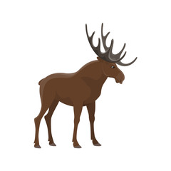 Elk wild animal vector isolated icon. Zoo mammal moose and hunt trophy wapiti elk